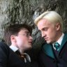 Фото профиля DRARRY / DMHP / 드레해리 addict