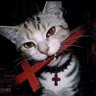 lixiang's profile picture