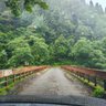 Фото профиля Tから始まる