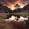 الحنون profil fotoğrafı