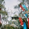 藤井 博 的头像