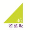 Фото профиля 若葉坂46