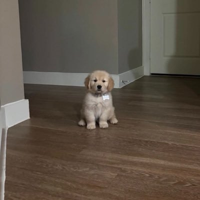 .ter's profile picture