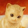 ㄘびすけ 的头像