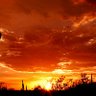 Фото профиля PhoenixGold