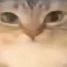 Profilbild von dumpling