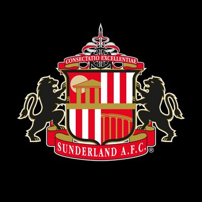SunderlandAFC's profile picture
