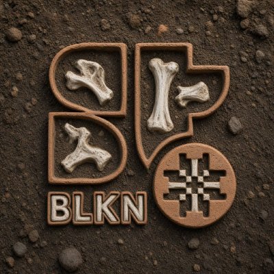 Superteam Balkan's profile picture