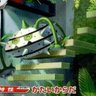 ナットレイを愛す者 的头像