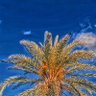 Bshyr, GM profil fotoğrafı