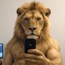 Profilbild von Leonardo