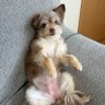 睡眠中毒者 的头像