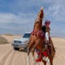 بدر أبو سلطان 的头像