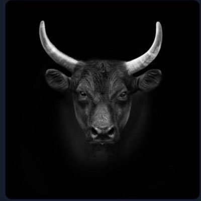 GP Q's profile picture