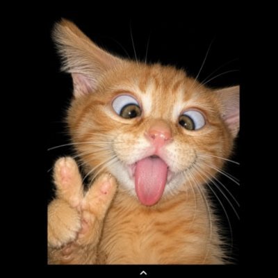 teeBhelekazi's profile picture