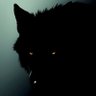 JEROME's profile picture
