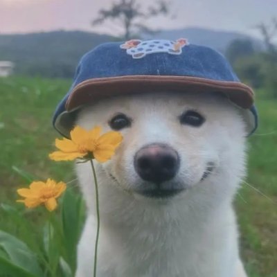 푸딩's profile picture
