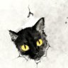 黒猫's profile picture
