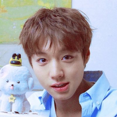 윙피포's profile picture