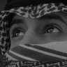 ناصر العتيبي 的头像