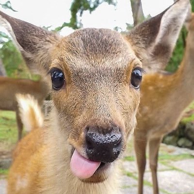 jo's profile picture