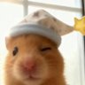 Profilbild von Do quang huy Do