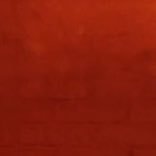 Sai's profile picture
