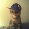 Profilbild von -