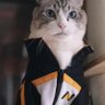 Goon Master's profile picture