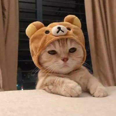 마링 マリン's profile picture