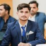 Sharjeel Hussain 的头像