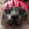Profilbild von 샴고앵 이차차