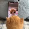 coco profil fotoğrafı