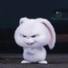 call me bunny🌨️ profil fotoğrafı