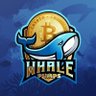 Crypto Whale 🐋's profile picture