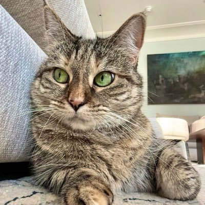 Pickle's profile picture