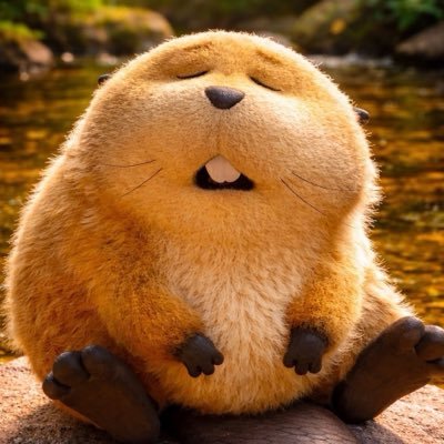 rakoombam's profile picture