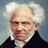 Profilbild von John Spell