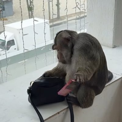 개판's profile picture