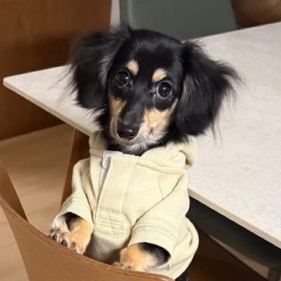 𝐈𝐦𝐧𝐨𝐭𝐛𝐥𝐨𝐨𝐦𝐲's profile picture