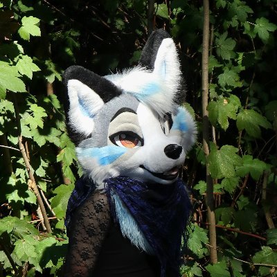 FluffyHowL's profile picture