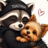 ToastPapi profil fotoğrafı