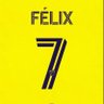 Felix Castrodad 的头像
