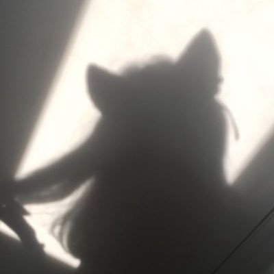 breedingx_'s profile picture