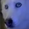 MiderOs's profile picture