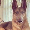 AnnieF profil fotoğrafı