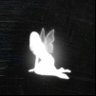 SOFT's profile picture