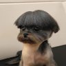 kily Zermeño's profile picture
