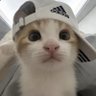 ์
profil fotoฤrafฤฑ