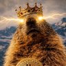 Profilbild von Bitcoin Marmot